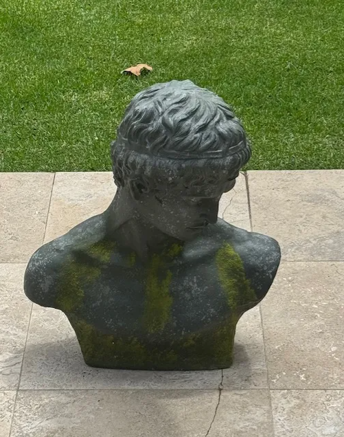 Narcissus Bust