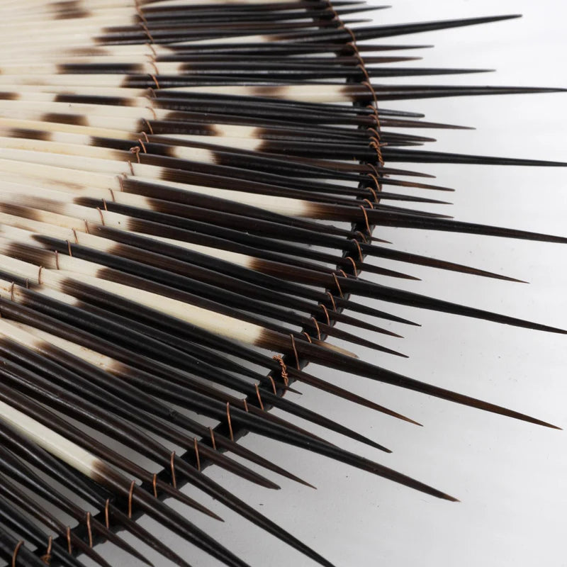 Medium Porcupine Quill Mirror