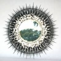 Medium Porcupine Quill Mirror