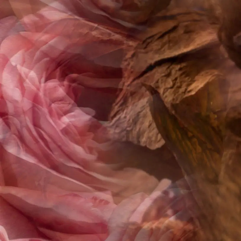 1250ml Rosa Tabacco Dr Vranjes Stick Diffuser