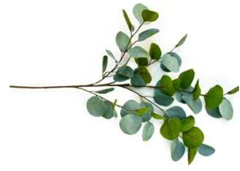 12 x 89cm Faux Silver Dollar Eucalyptus Spray Grey Green
