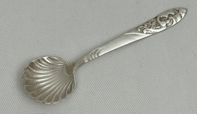 Sugar Spoon Shell