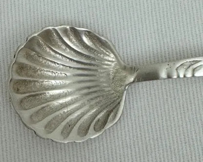 Sugar Spoon Shell