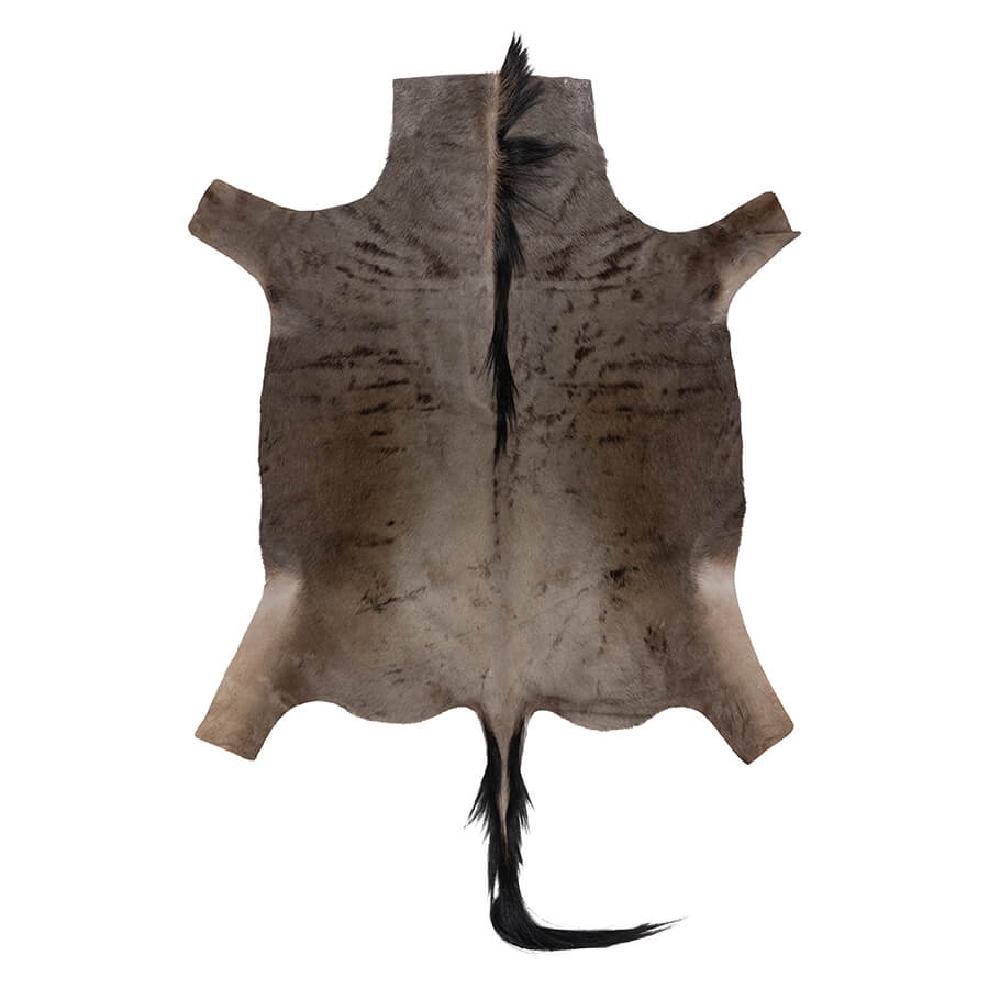 Genuine Wildebeest Skin Rug