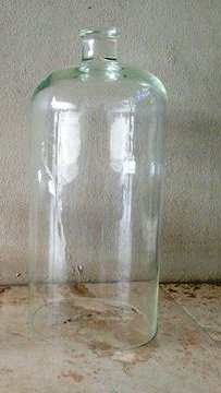 Tall Glass Dome With Large Knob - NetDécor