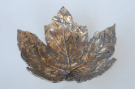 Gold Oak Leaf Bowl - NetDécor