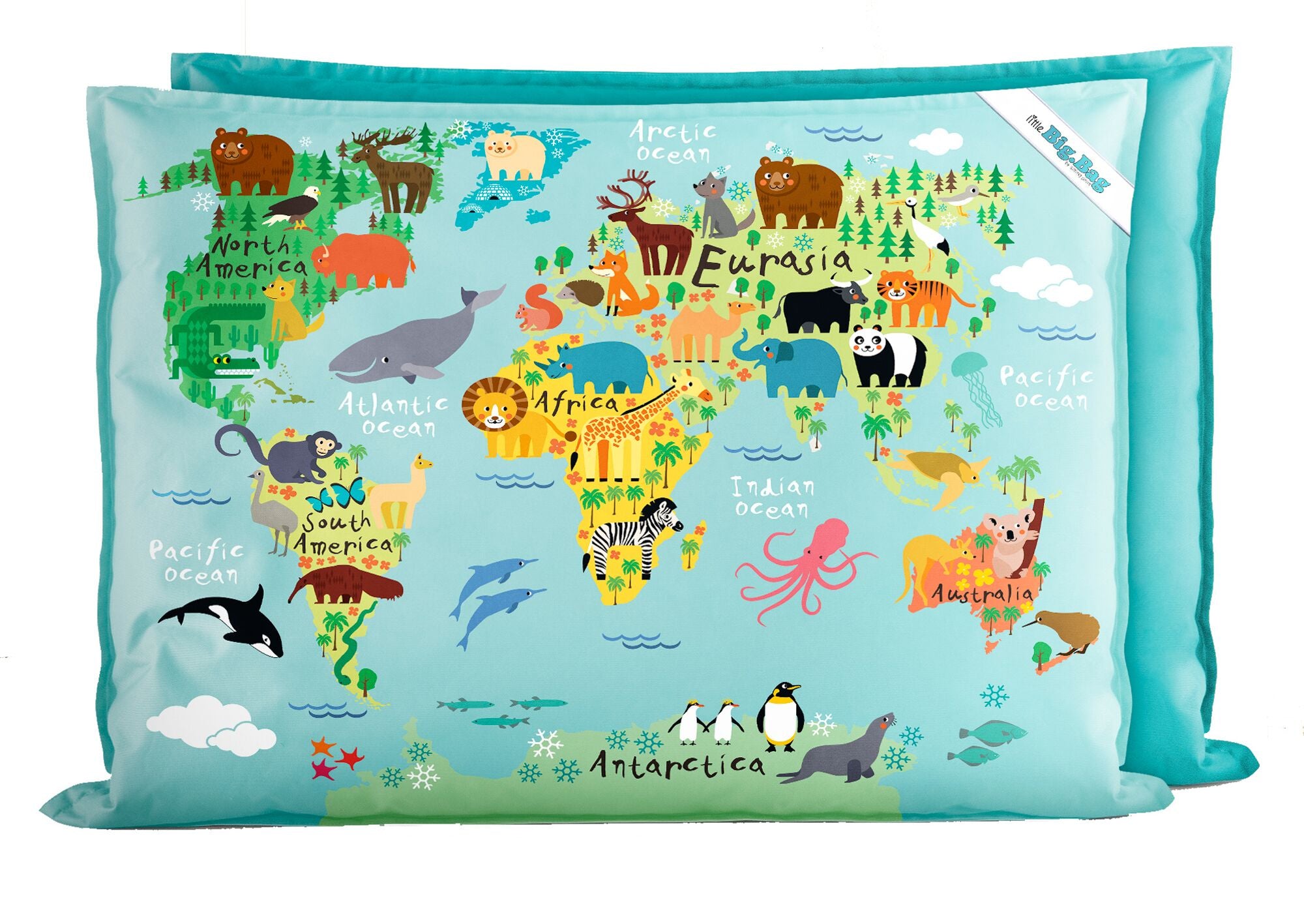 Little Bigbag World Map - NetDécor