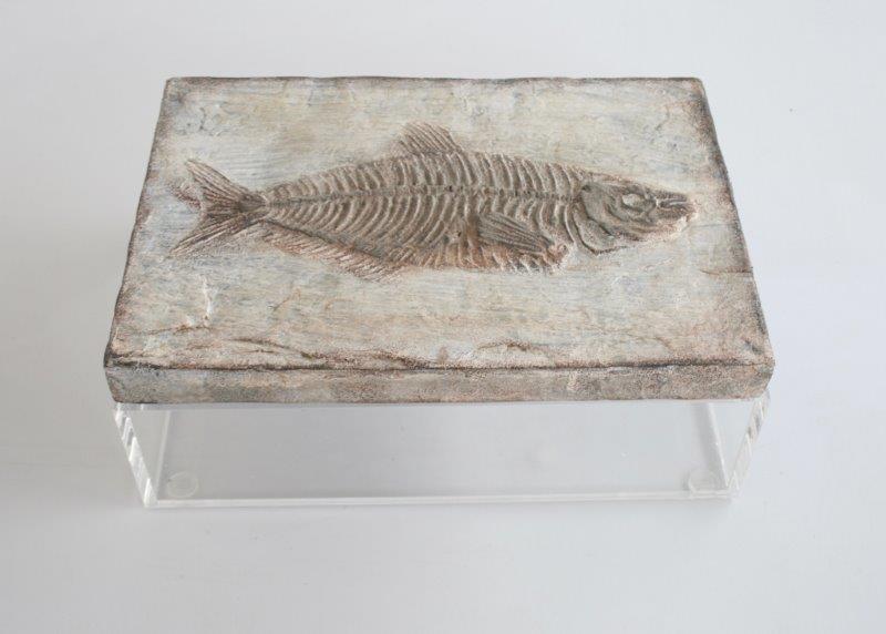 Large Perspex Box Fish Emblem Lid - NetDécor