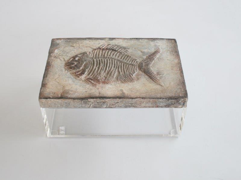 Med. Perspex Box Fish Emblem Lid - NetDécor
