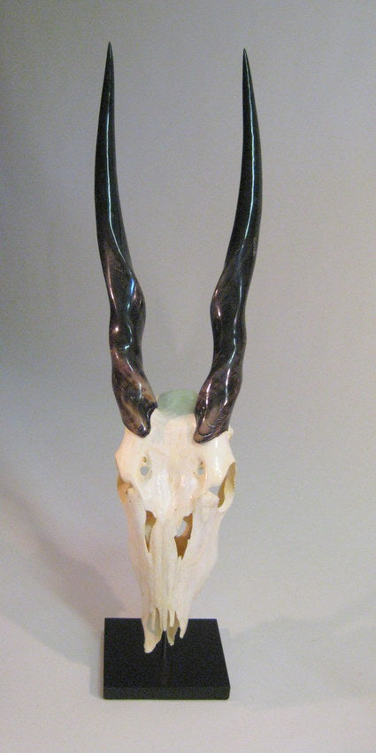 Mounted Eland Full Skull - NetDécor