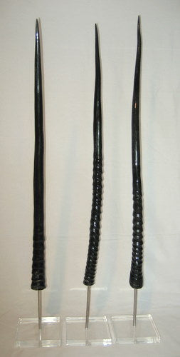 3 Mounted POLISHED Gemsbok Horns - NetDécor