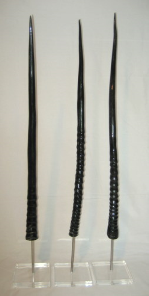 3 Mounted POLISHED Gemsbok Horns - NetDécor