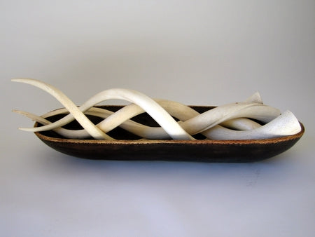 Polished Kudu Inner Horn - LARGE - NetDécor