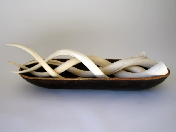 Polished Kudu Inner Horn - LARGE - NetDécor