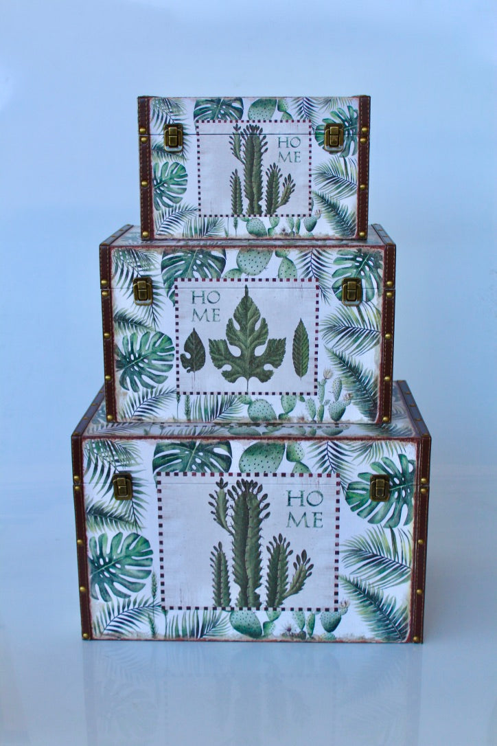 Set of 3 Green Leaf & Cactus Boxes - NetDécor