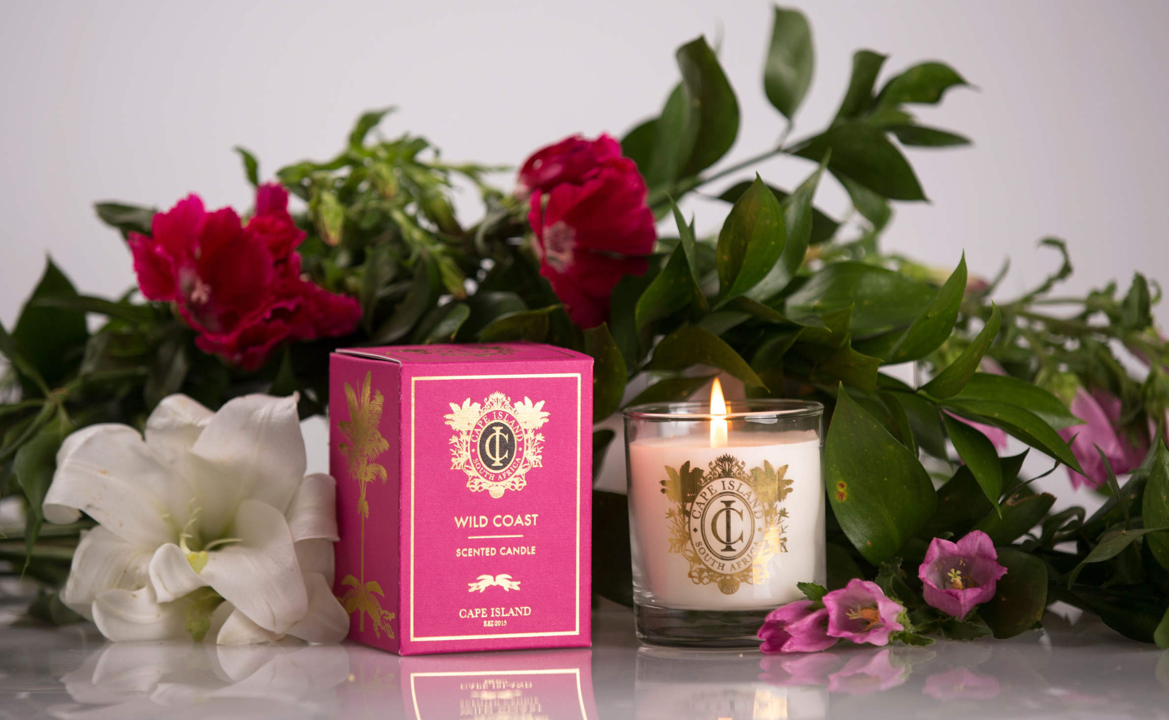 Cape Island - NEW! Wild Coast - Candles - NetDécor