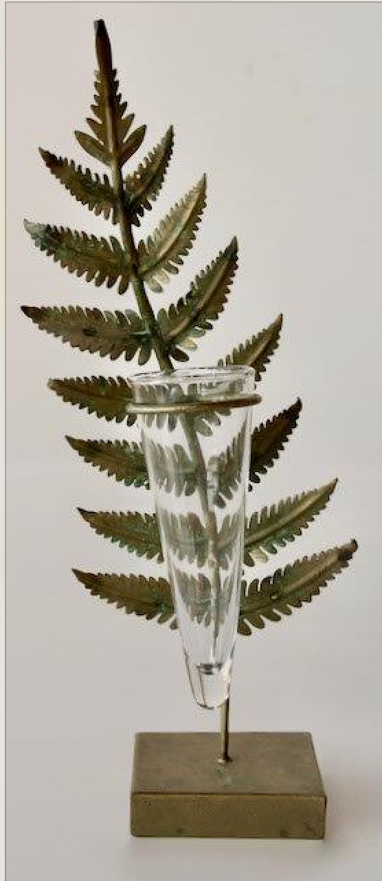 Test Tube Fern Vase - NetDécor