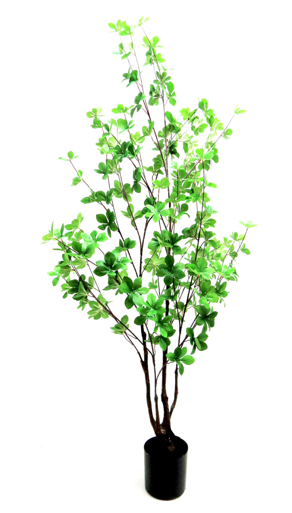 Rondiflorium Faux Trees - NetDécor