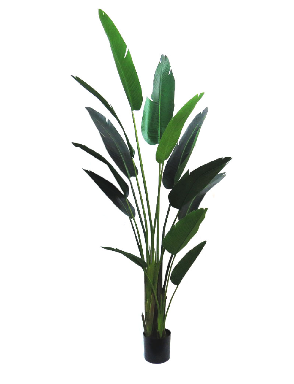 210cm Giant Faux Strelizia Tree - NetDécor