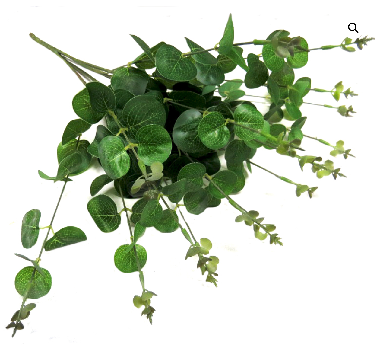 50cml Eucalyptus Magnifica Leaf Bunch - NetDécor