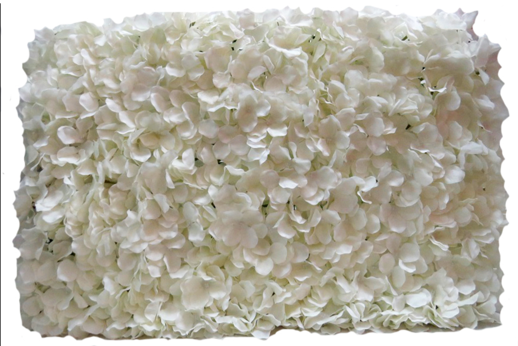 Hydrangea Backdrop White - NetDécor