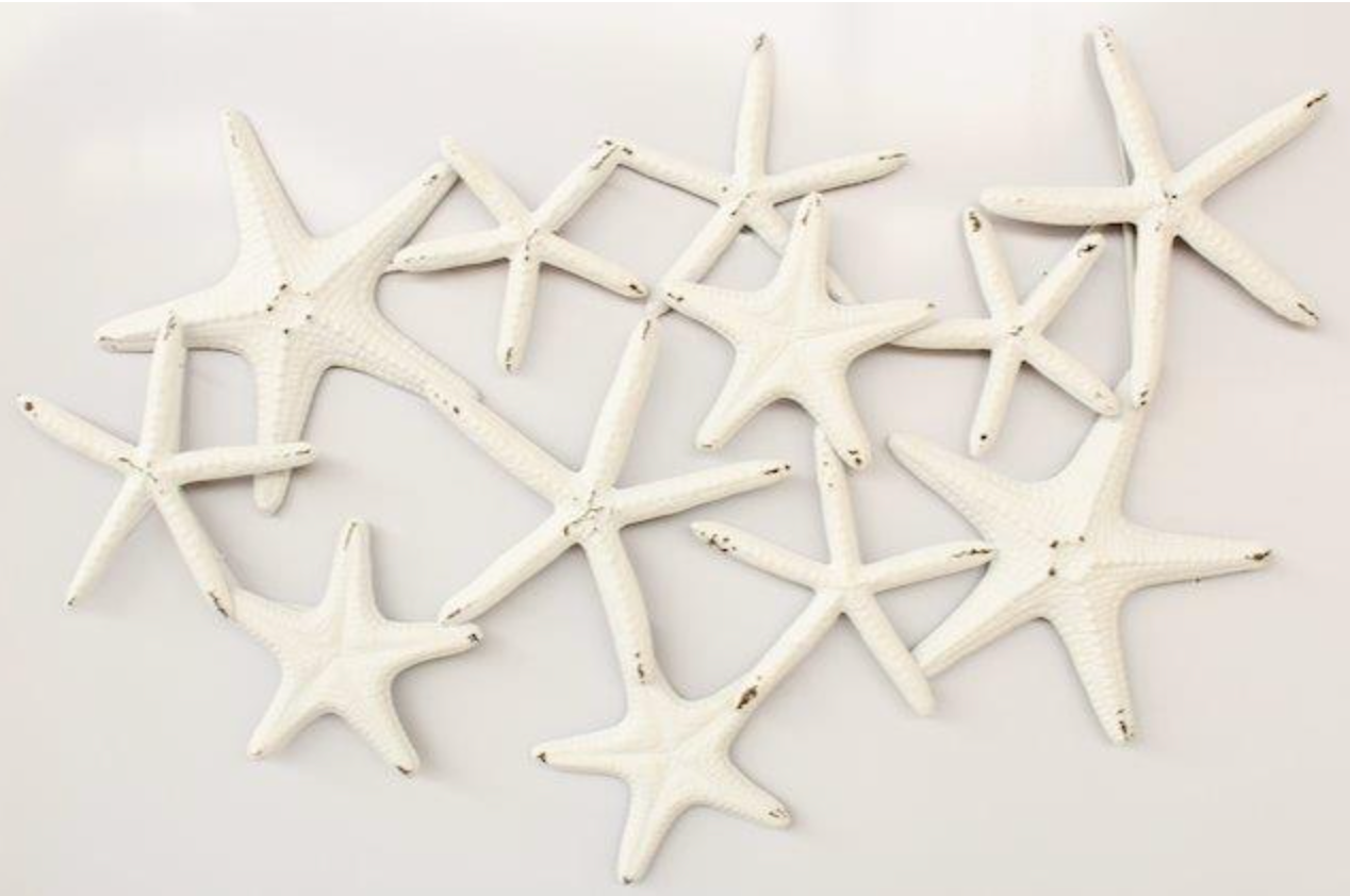 WHITE METAL STARFISH WALL HANGING - NetDécor