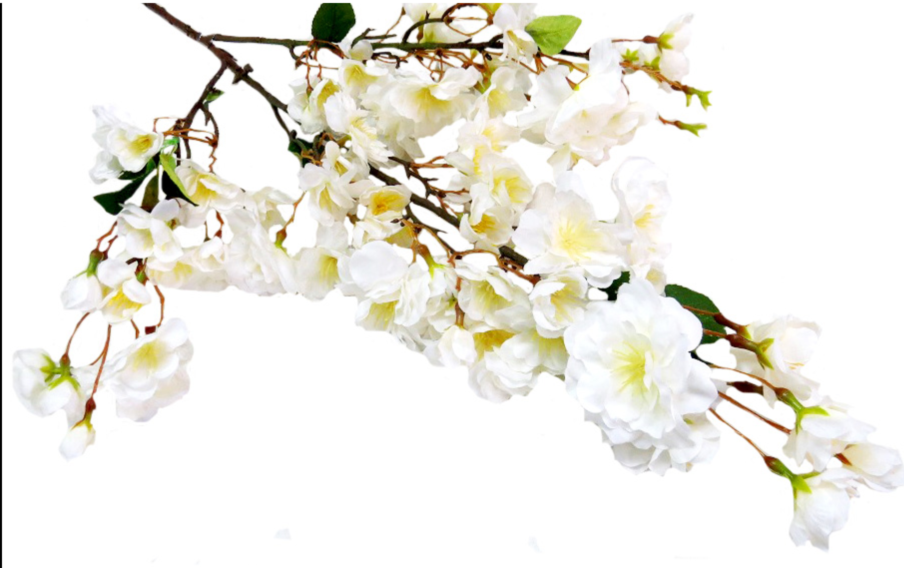 100cm Blossom Fabulous - NetDécor