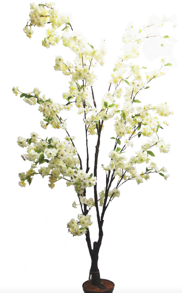 Tall White Cherry Blossom Tree - NetDécor 