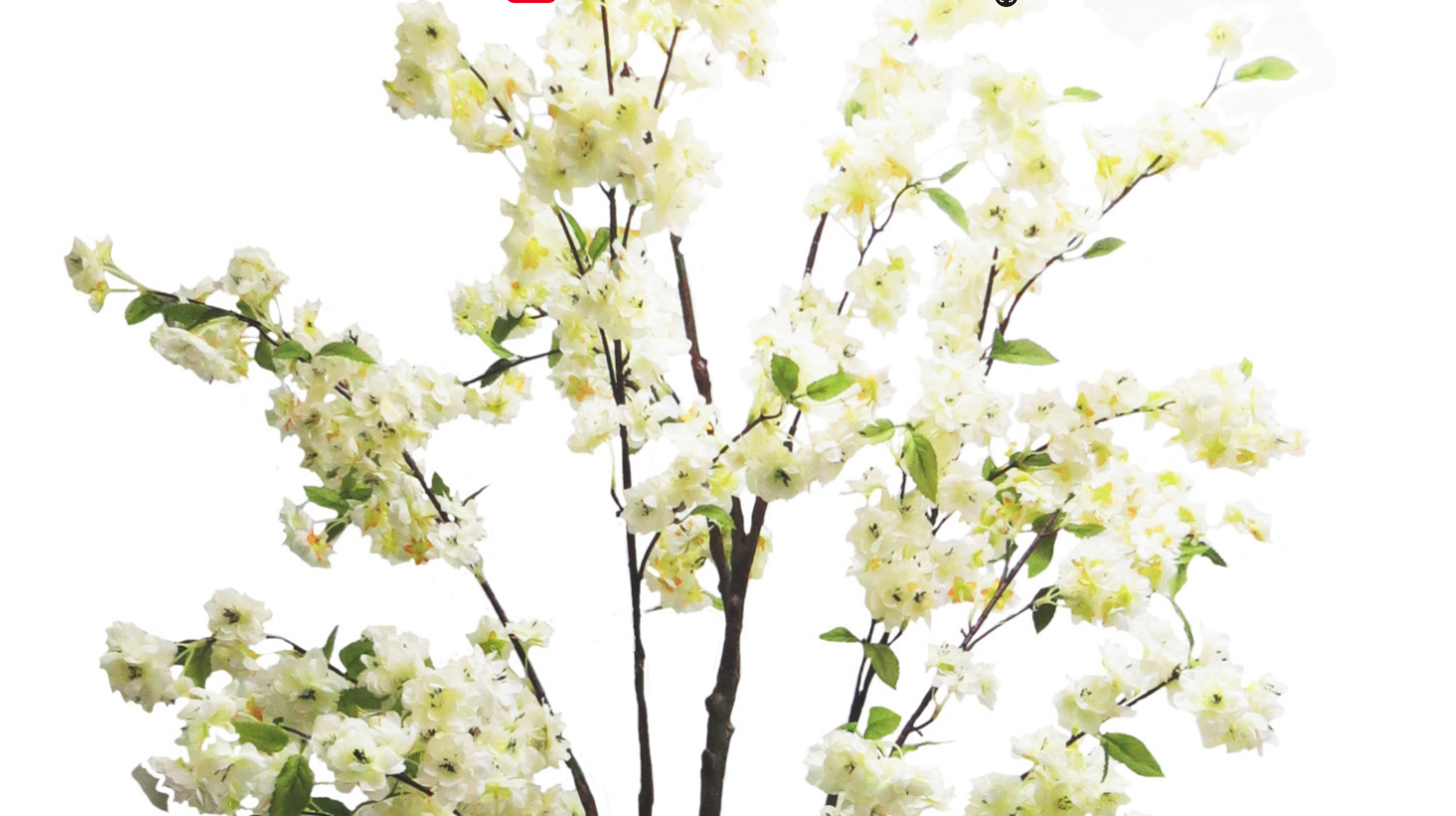 Tall White Cherry Blossom Tree - NetDécor