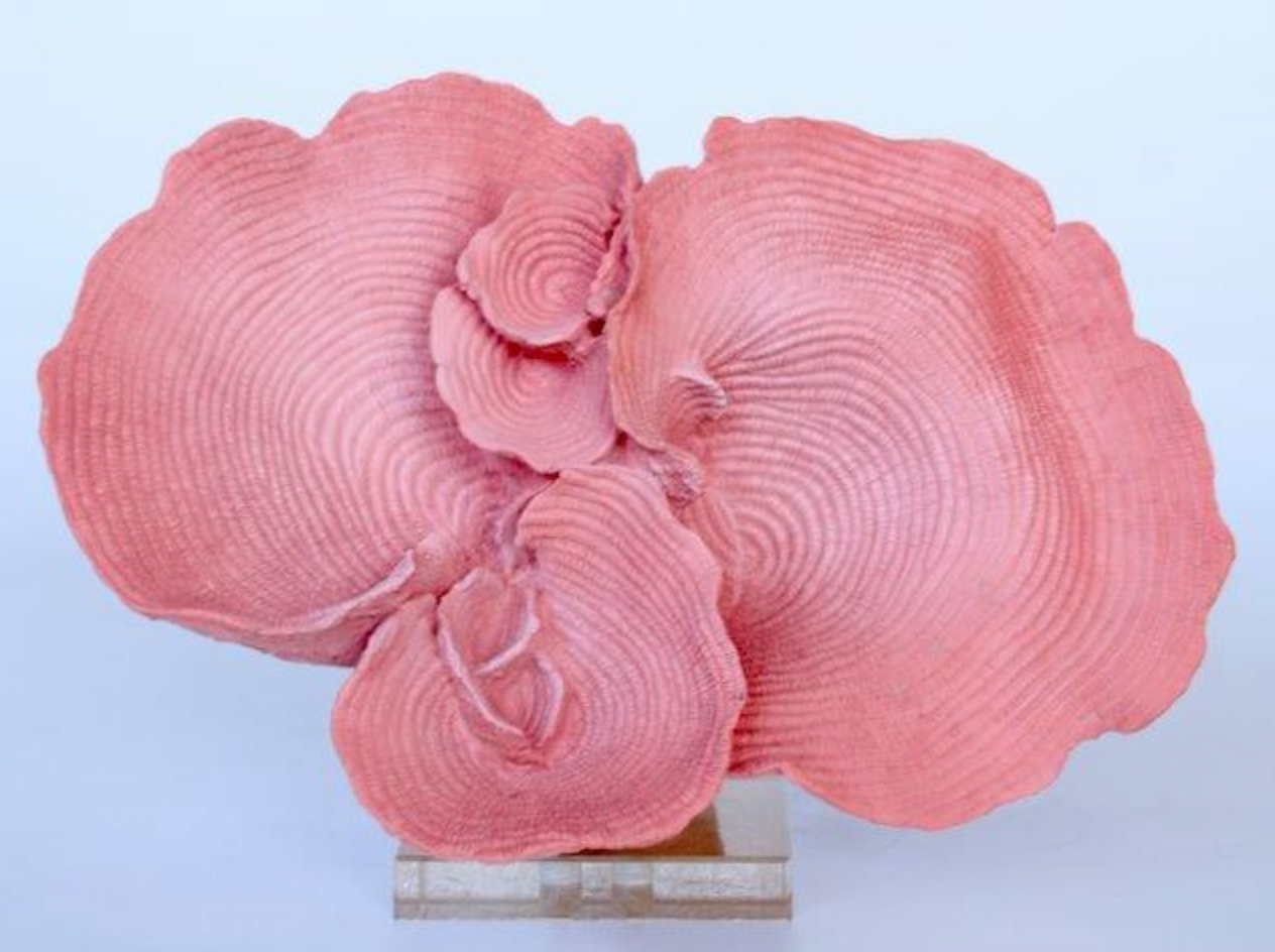 Faux Pink Coral - NetDécor