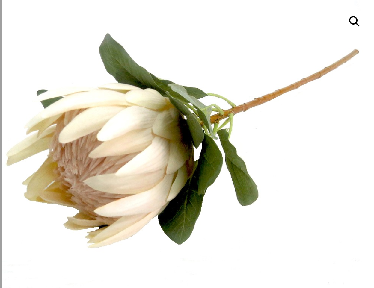 Faux Cream King Protea - NetDécor