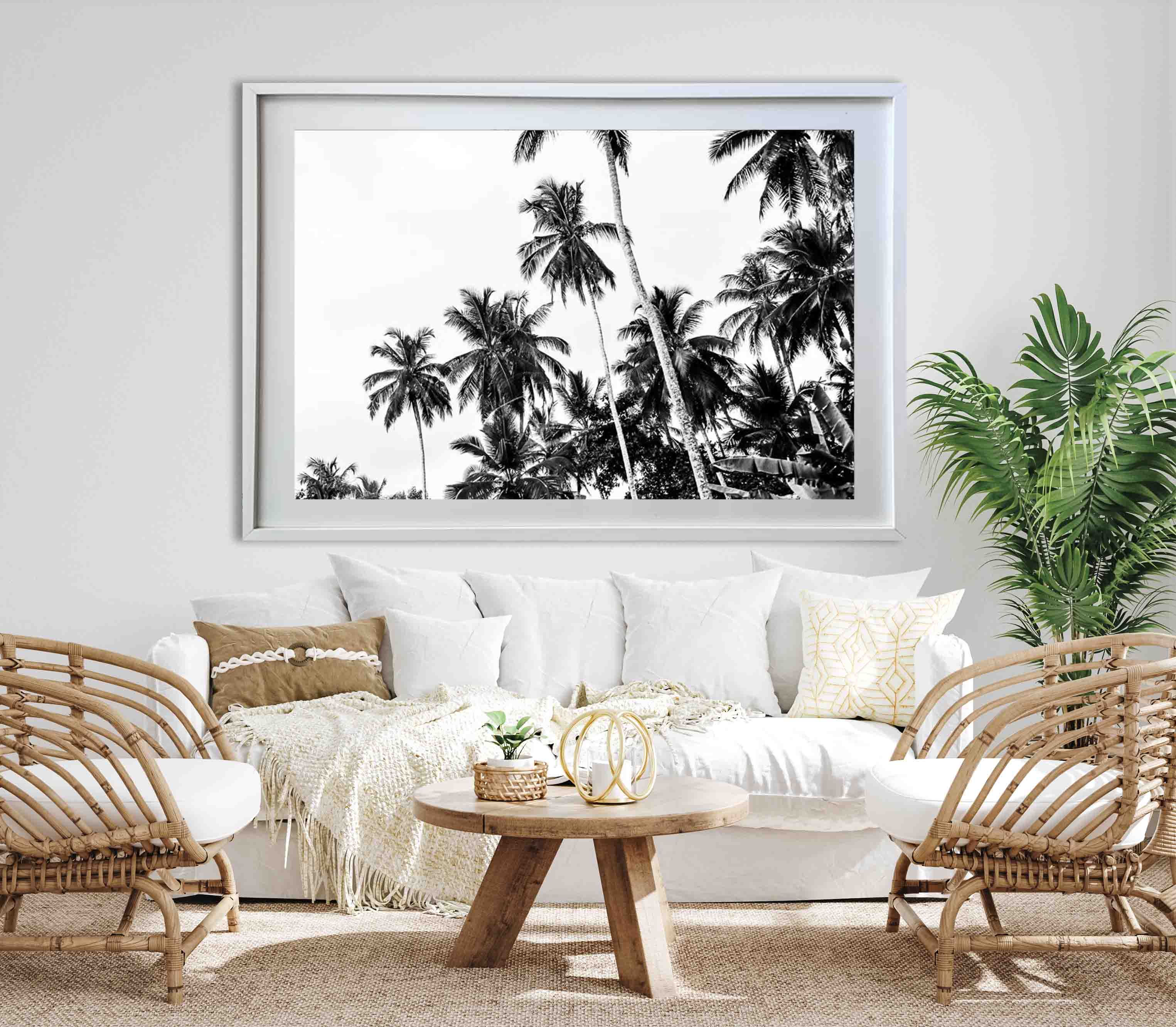 Tropic Mind - NetDécor