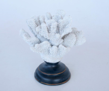 White Coral on Stand Candle Stick - NetDécor