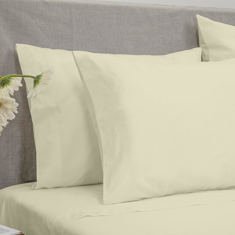 Percale Four Row Cord Ivory Ivory Standard Pillowcase