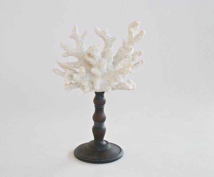White Coral on Stand - NetDécor