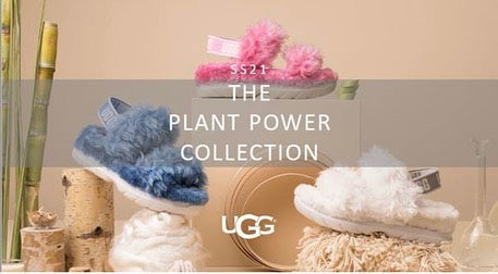 Introducing the PLANT POWER Collection...