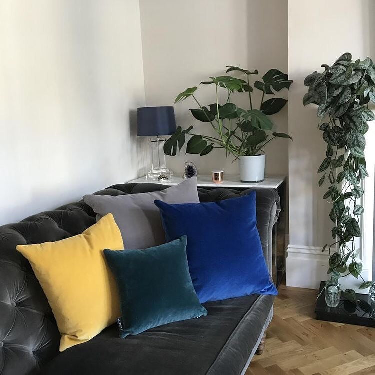 Our lush, velvet cushions liven...