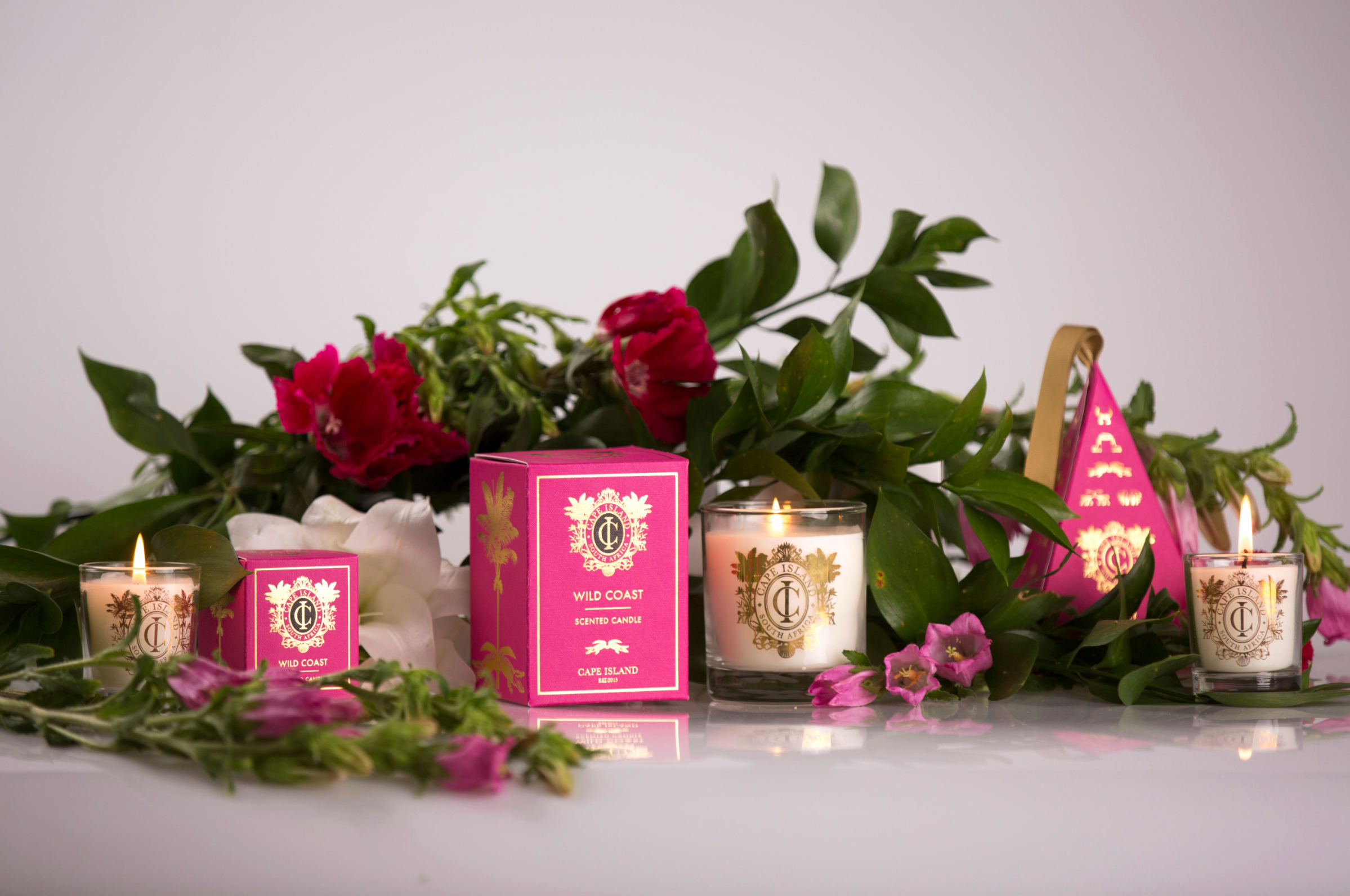 Cape Island - New! Wild Coast