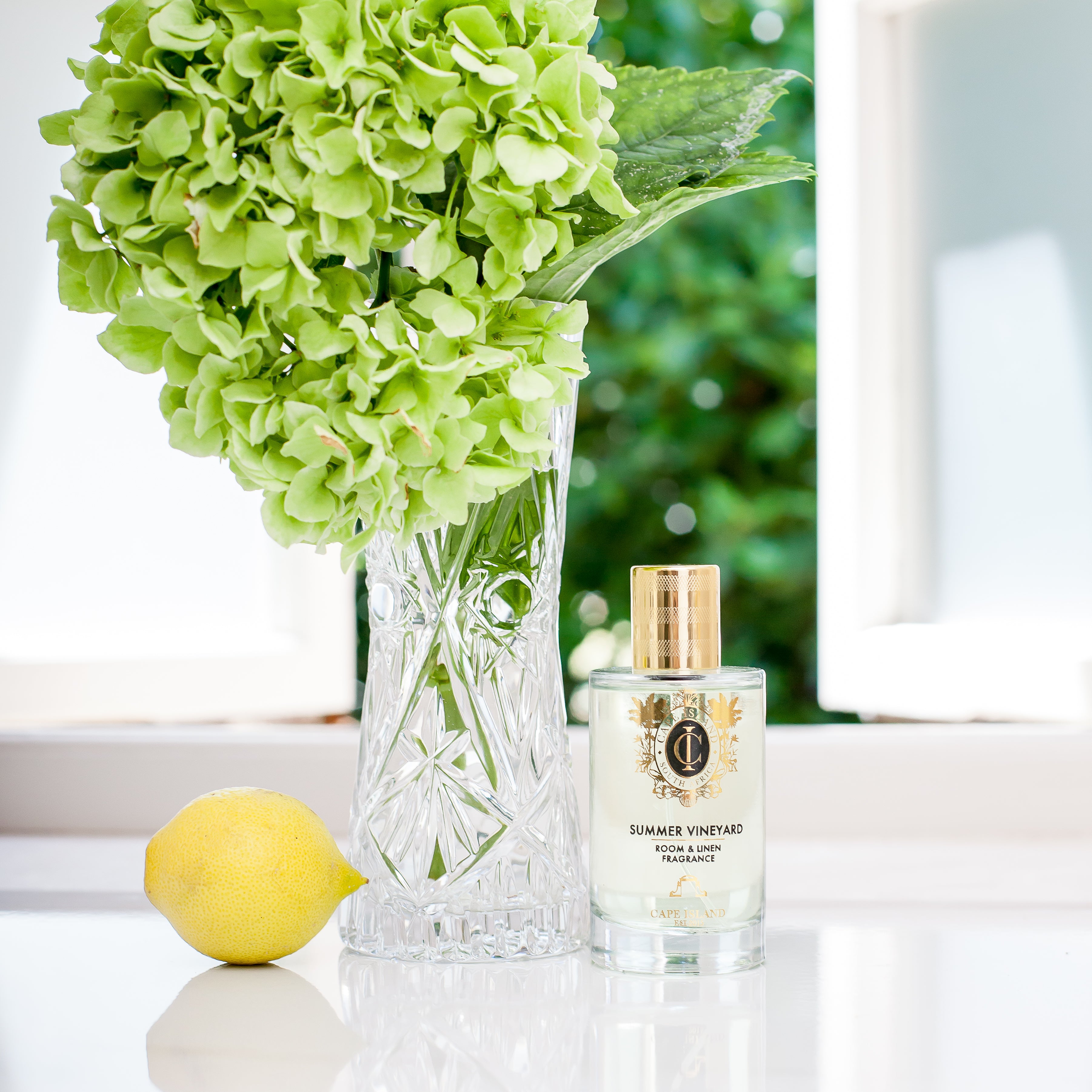 Cape Island - Summer Vineyard