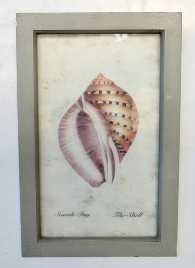 Blue Snail Shell Window