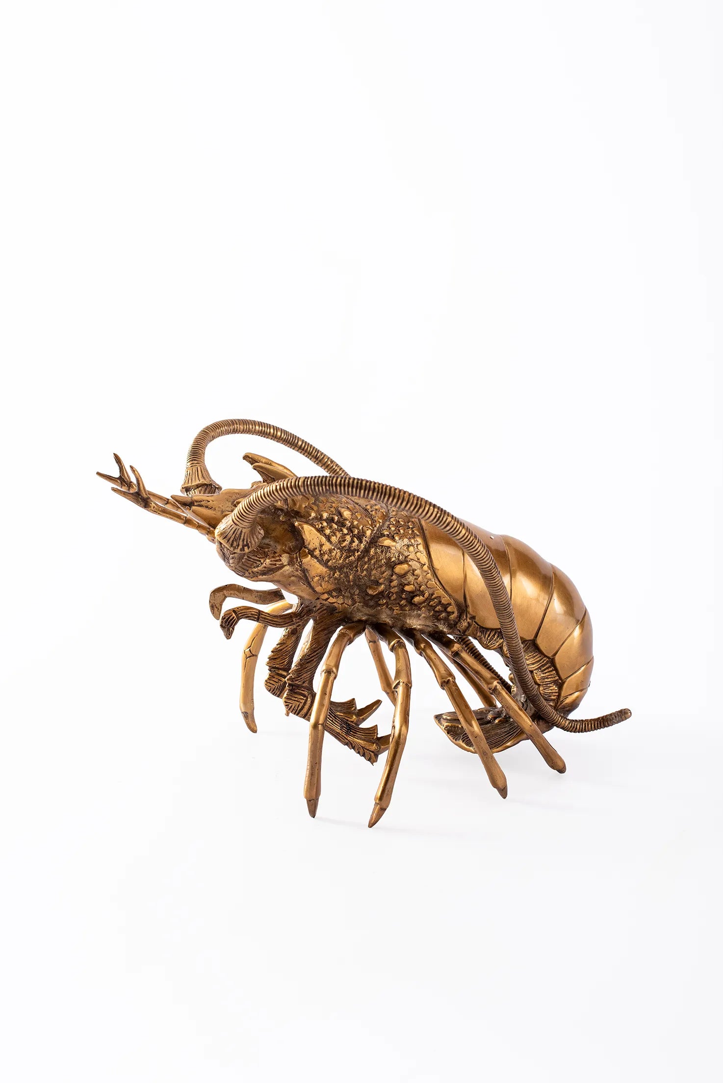 BOB THE LOBSTER BRASS