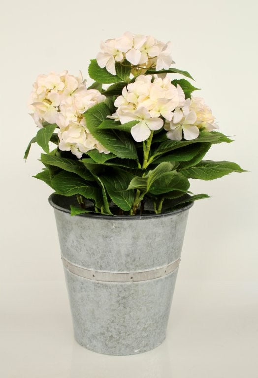 7 CREAM FAUX HYDRANGEAS IN LARGE TIN POT