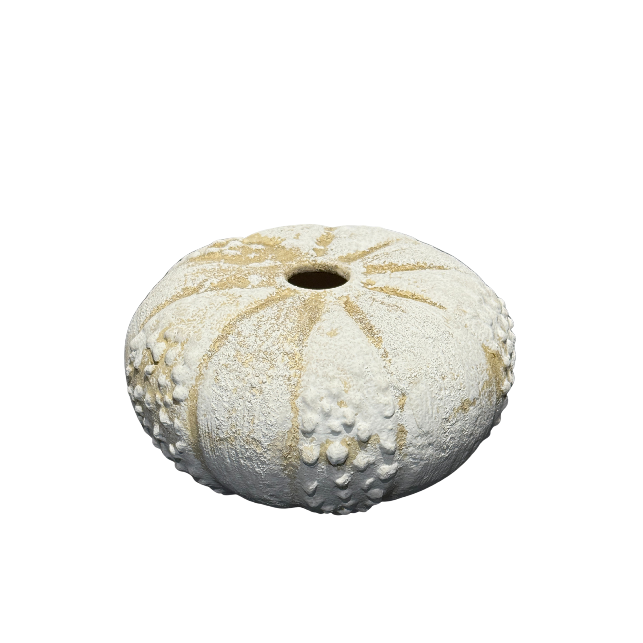 Urchin Medium Ceramic Vase