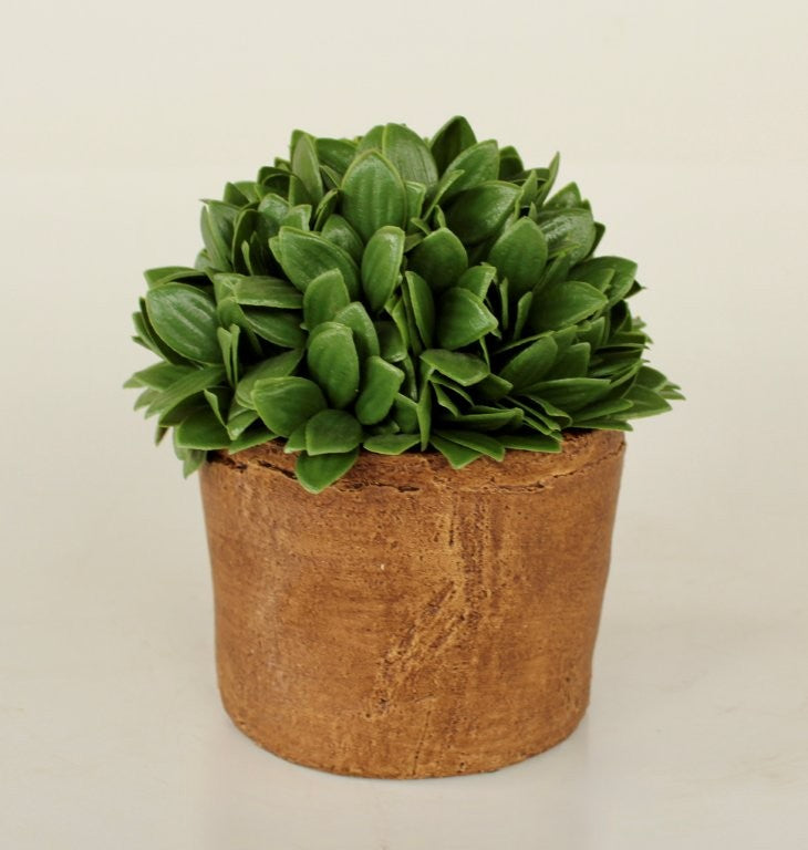 SMALL FAUX BOXWOOD IN BROWN CEMENT POT