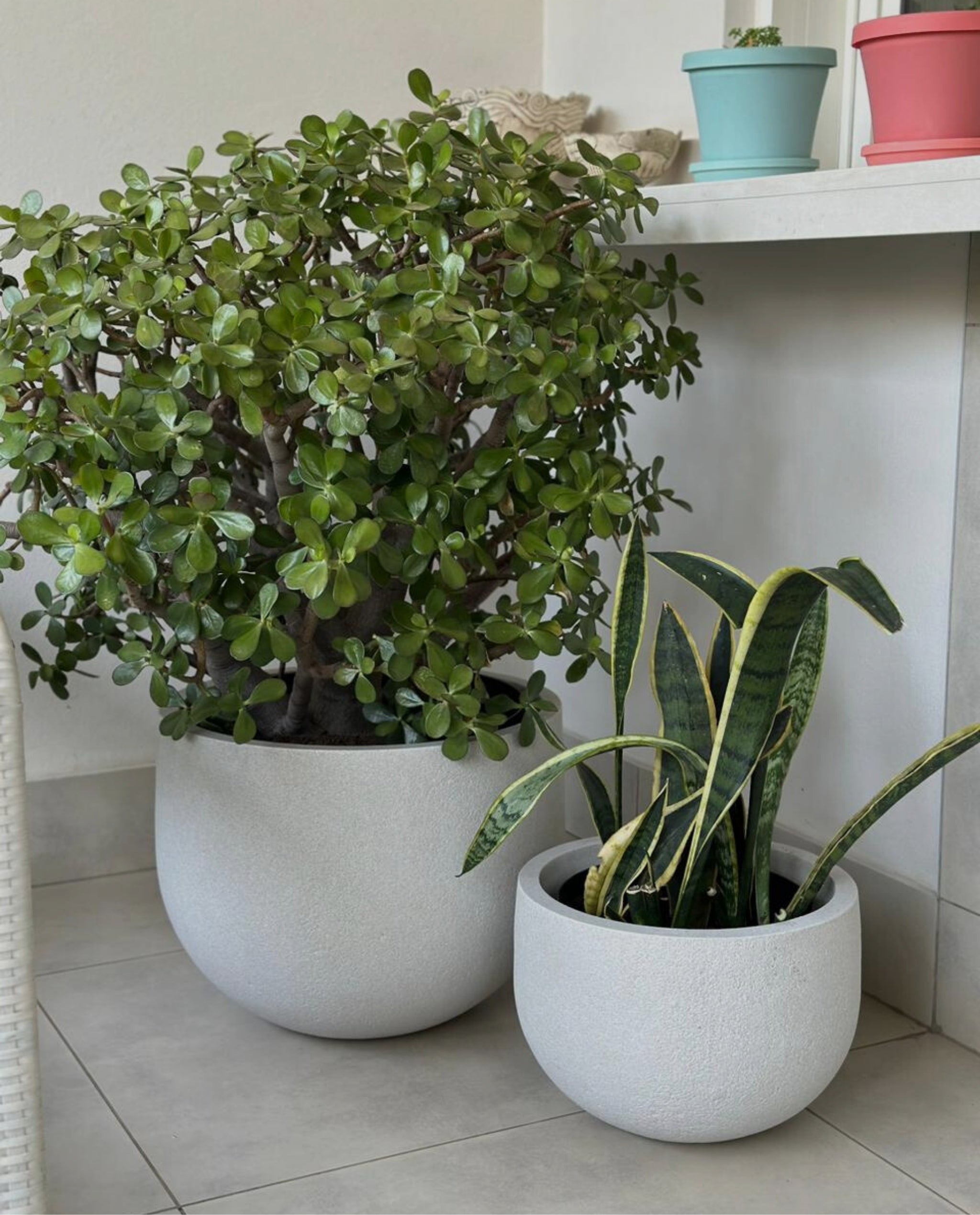 Rustic Round Set of 3 Outdoor Planters