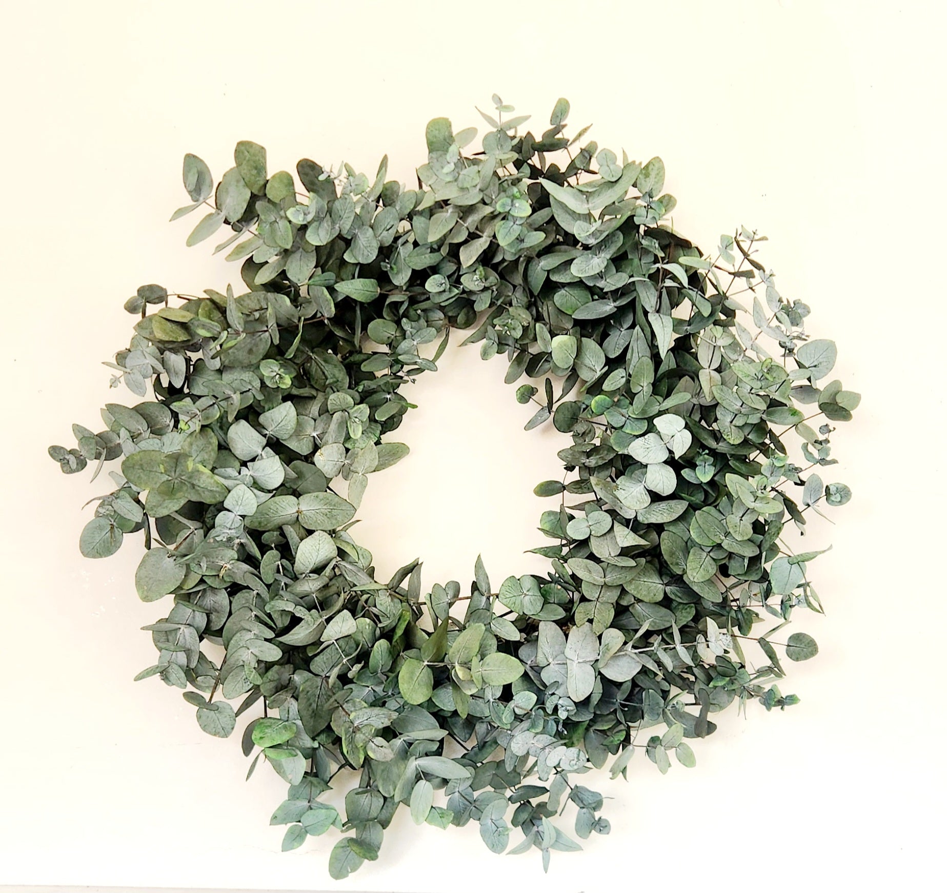 Green Pennygum Wreath