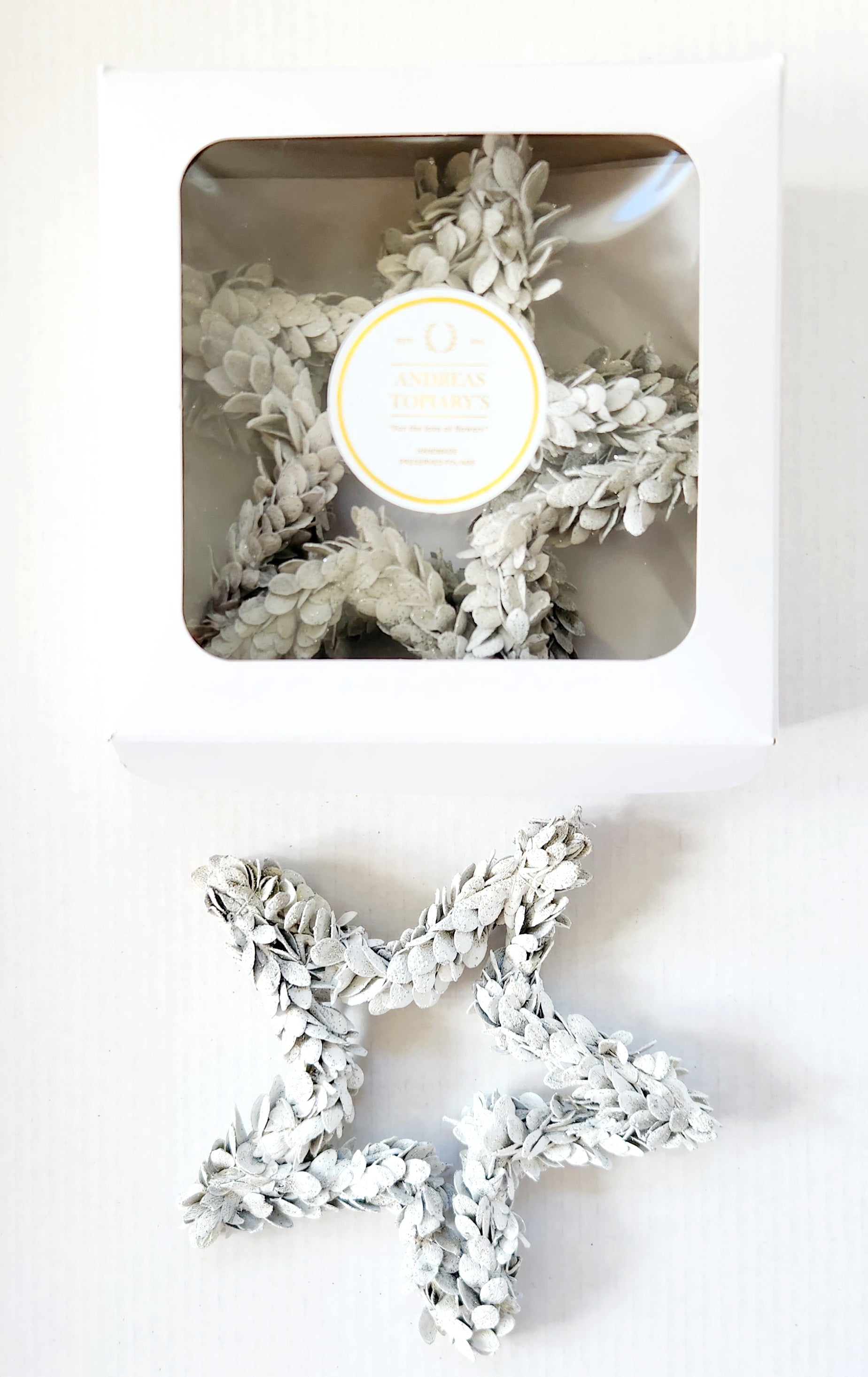 Buxifolia Stars Set of 3 Christmas Tree Decorations