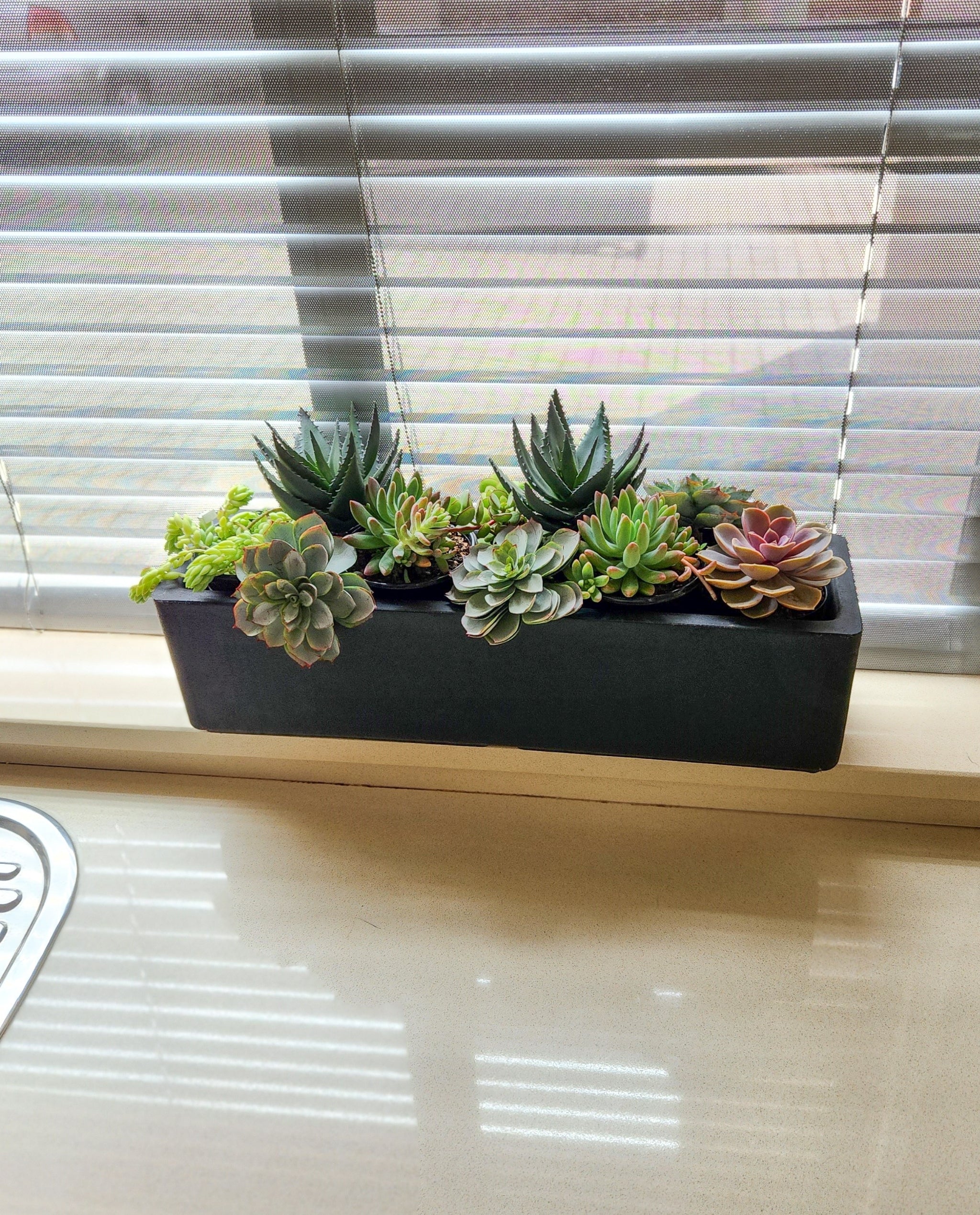 Window Boxes Planters