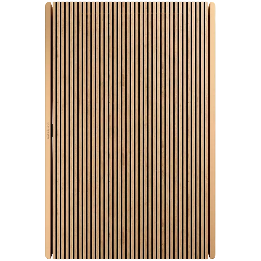 BANG & OLUFSEN -Beosound level