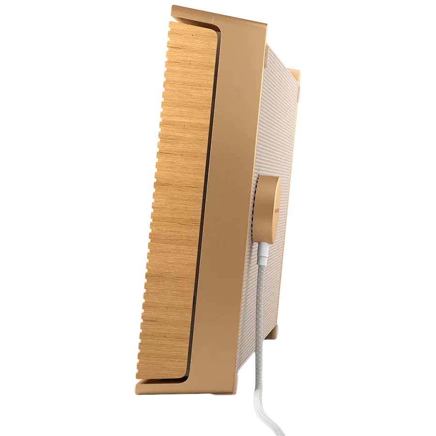 BANG & OLUFSEN -Beosound level